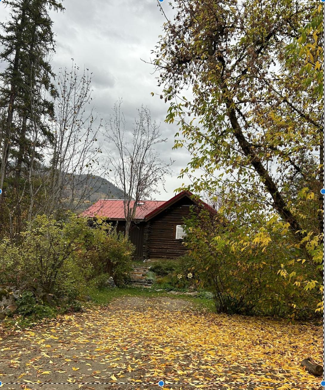 Morning Star Log Cabin Nelson Camera foto